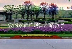 爱的眼神广场舞舞蹈教学