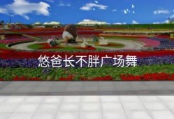 悠爸长不胖广场舞