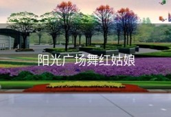 阳光广场舞红姑娘