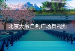 北京大爷自制广场舞视频