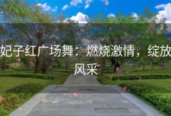妃子红广场舞：燃烧激情，绽放风采