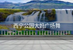 西宁公园大妈广场舞
