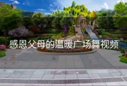 感恩父母的温暖广场舞视频