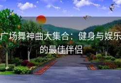 广场舞神曲大集合：健身与娱乐的最佳伴侣