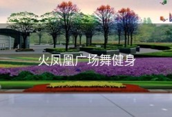 火凤凰广场舞健身