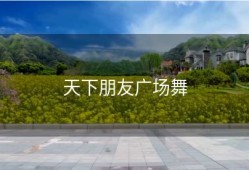 天下朋友广场舞