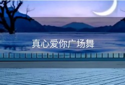 真心爱你广场舞