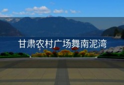 甘肃农村广场舞南泥湾