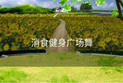 消食健身广场舞