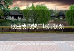 歌曲我的梦广场舞视频