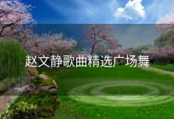 赵文静歌曲精选广场舞