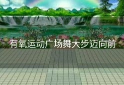 有氧运动广场舞大步迈向前