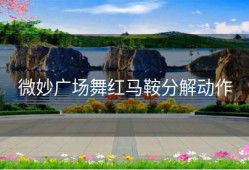 微妙广场舞红马鞍分解动作