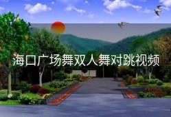 海口广场舞双人舞对跳视频