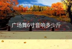 广场舞6寸音响多少斤