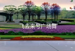飞去来兮广场舞