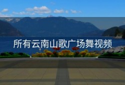 所有云南山歌广场舞视频