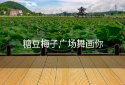 糖豆梅子广场舞画你