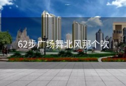 62步广场舞北风那个吹