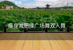 瘦身减肥操广场舞双人舞