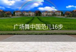 广场舞中国范儿16步