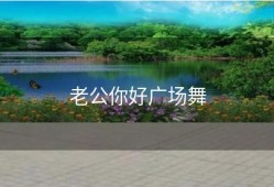 老公你好广场舞
