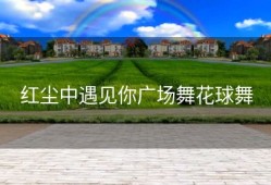 红尘中遇见你广场舞花球舞