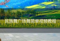民族舞广场舞简单视频教程