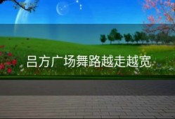 吕方广场舞路越走越宽