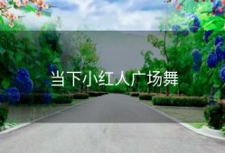 当下小红人广场舞