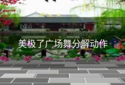 美极了广场舞分解动作