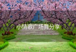 小情歌广场舞分享