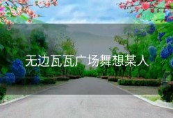 无边瓦瓦广场舞想某人