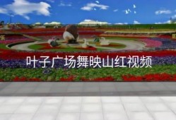 叶子广场舞映山红视频