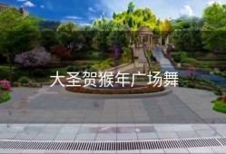 大圣贺猴年广场舞