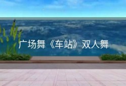 广场舞《车站》双人舞