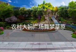 农村大妈广场舞梦草原