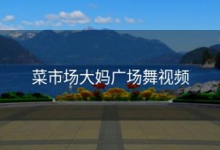 菜市场大妈广场舞视频