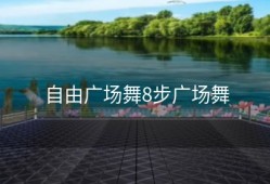自由广场舞8步广场舞