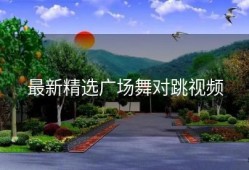 最新精选广场舞对跳视频