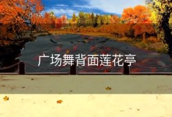 广场舞背面莲花亭