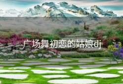 广场舞初恋的姑娘dj