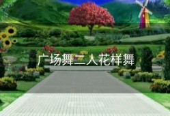 广场舞二人花样舞