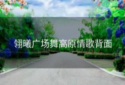 翎曦广场舞高原情歌背面