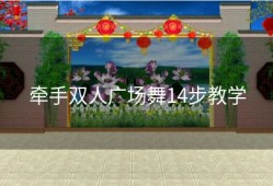 牵手双人广场舞14步教学