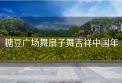 糖豆广场舞扇子舞吉祥中国年