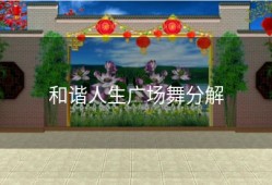 和谐人生广场舞分解