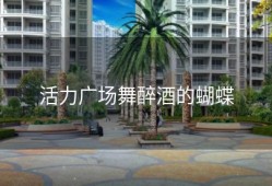 活力广场舞醉酒的蝴蝶