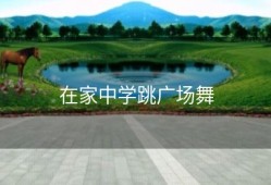 在家中学跳广场舞