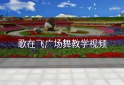 歌在飞广场舞教学视频